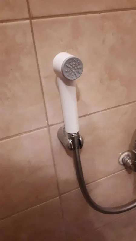 Гигиенический душ Grohe Tempesta-F 26355IL0, 100см, белый Sancos — официальный сайт
