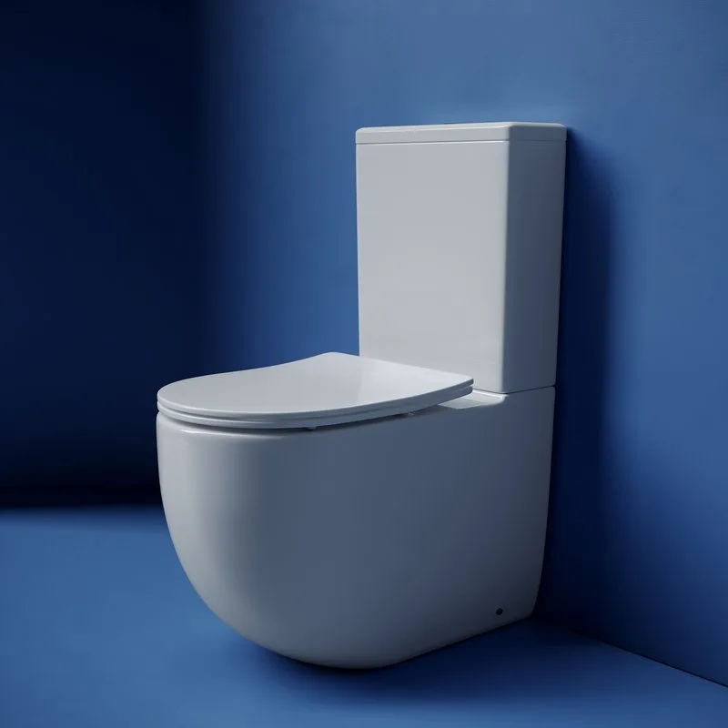 Унитаз-компакт напольный Ceramicanova Metropol CN4001T смыв торнадо Sancos — официальный сайт