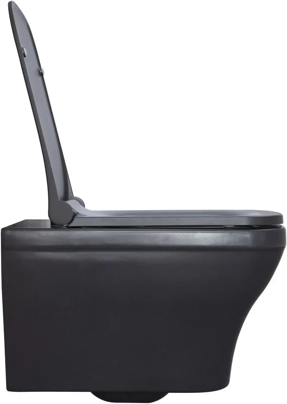 Унитаз подвесной Allen Brau Infinity 4.21011.AN Sancos — официальный сайт