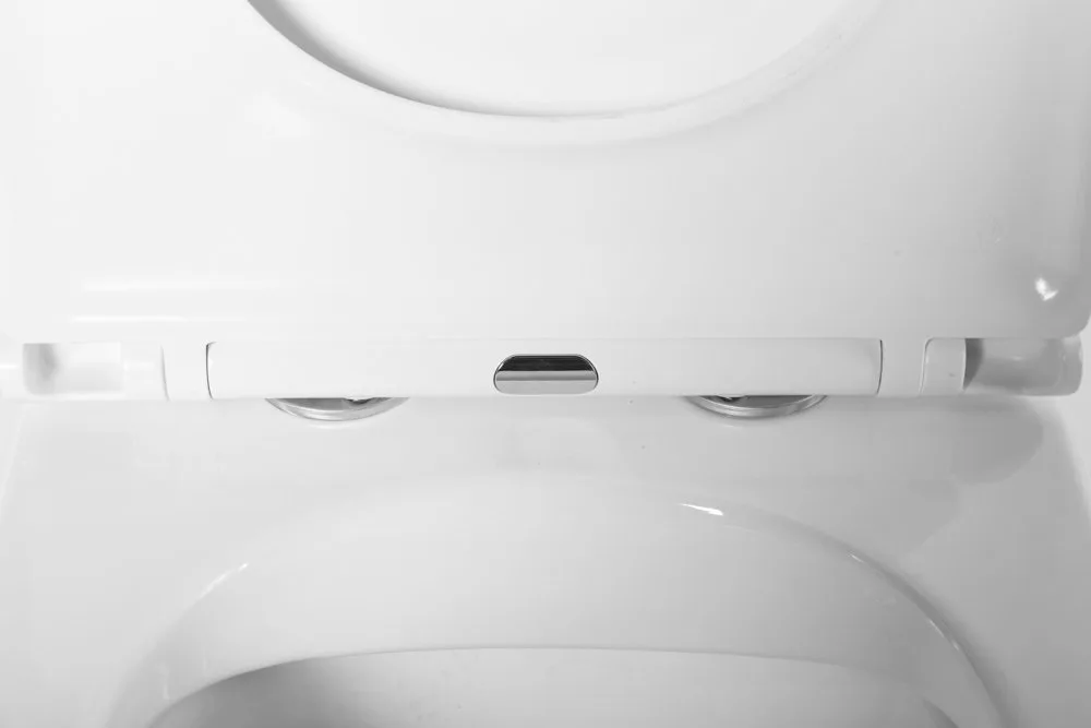 Унитаз-компакт напольный BelBagno Ardente-R BB02093CPR/SC Sancos — официальный сайт
