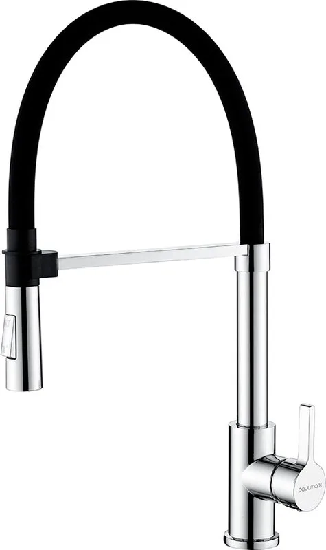 Смеситель для кухни Paulmark Halt Ha214021-CR хром, с гибким изливом Sancos — официальный сайт