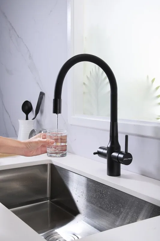 Смеситель для кухни Paulmark Salix Salix Sa213419-BLM матовый черный, с гибким изливом Sancos — официальный сайт