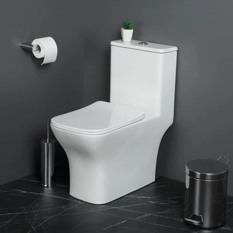 Унитаз-моноблок напольный BelBagno Neon BB8617CPR-MN/SC Sancos — официальный сайт