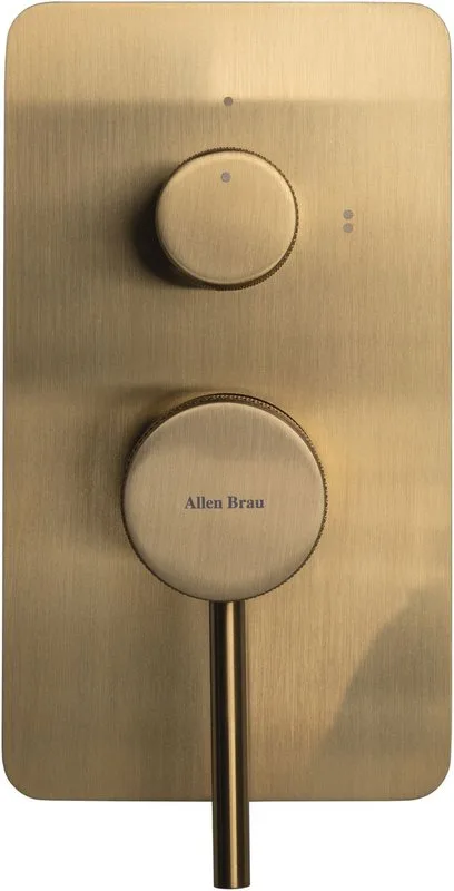 Встраиваемый смеситель Allen Brau Priority 5.31011-GB, С ВНУТРЕННЕЙ ЧАСТЬЮ, браширо Sancos — официальный сайт