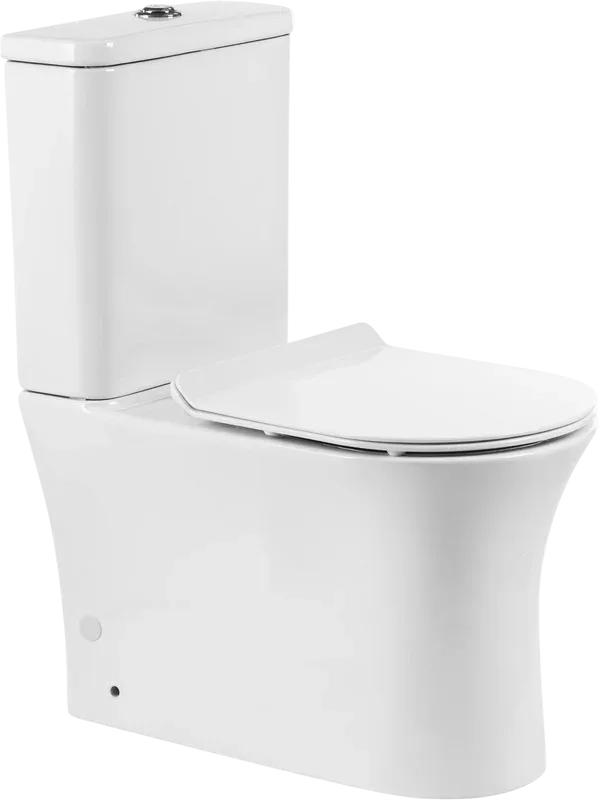 Чаша для унитаза-компакта BelBagno Ancona BB1224CPR-P Sancos — официальный сайт
