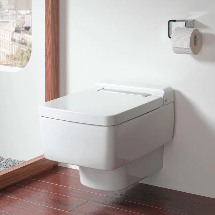 Крышка-сиденье Toto SG TC501CVK#W с микролифтом, петли хром Sancos — официальный сайт
