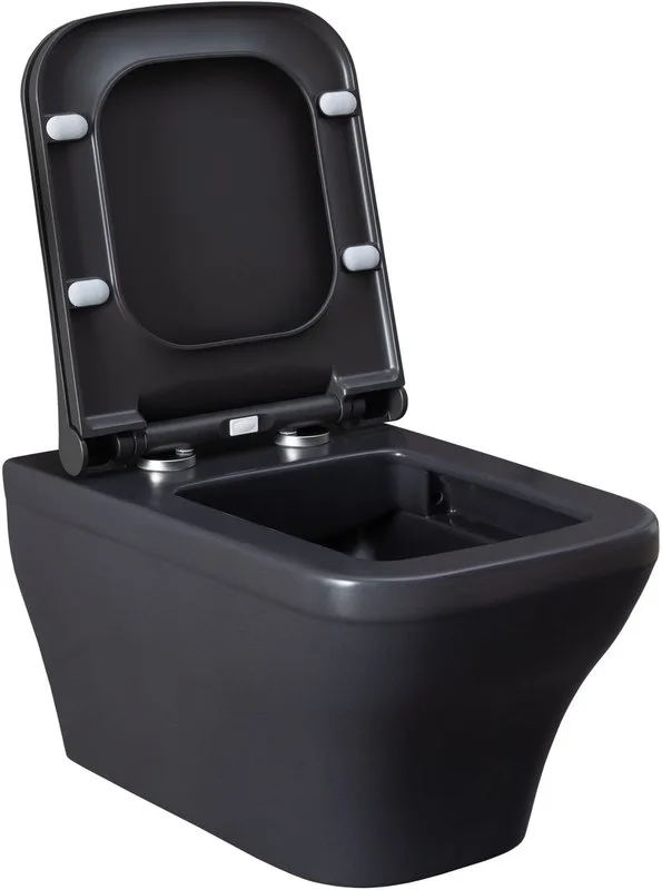 Унитаз подвесной Allen Brau Infinity 4.21011.AN Sancos — официальный сайт
