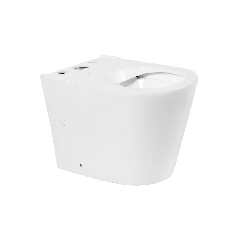 Чаша для унитаза-компакта BelBagno Flay-R BB2149CPR Sancos — официальный сайт