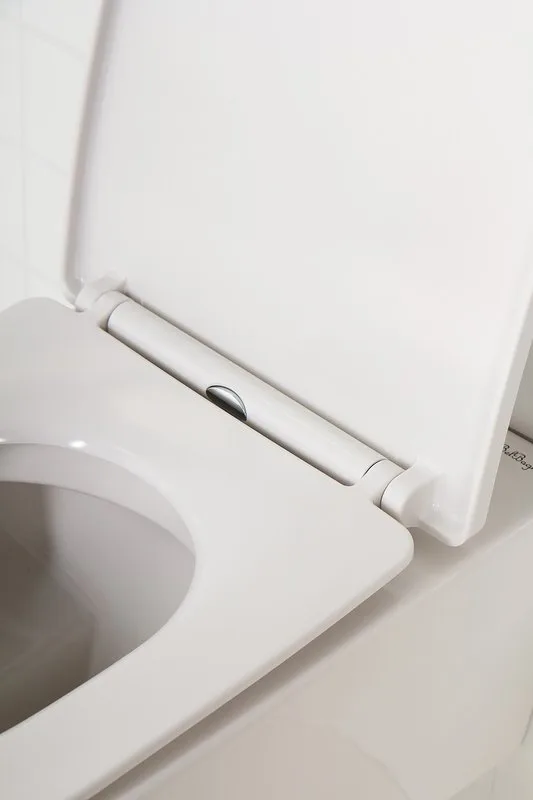 Крышка-сиденье BelBagno BB2031SC с микролифтом, петли хром Sancos — официальный сайт