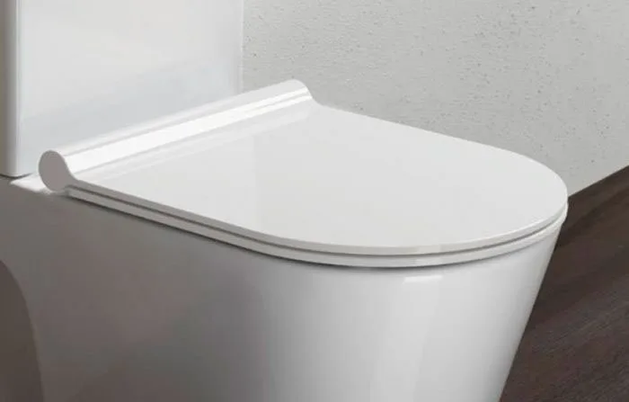 Крышка-сиденье Catalano Zero PLUS с микролифтом, петли хром Sancos — официальный сайт