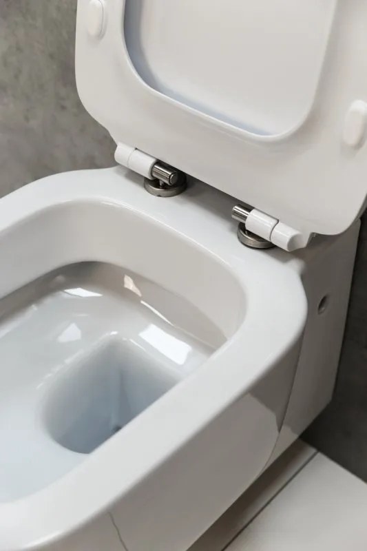 Унитаз-компакт напольный BelBagno Vaso BB127CP Sancos — официальный сайт