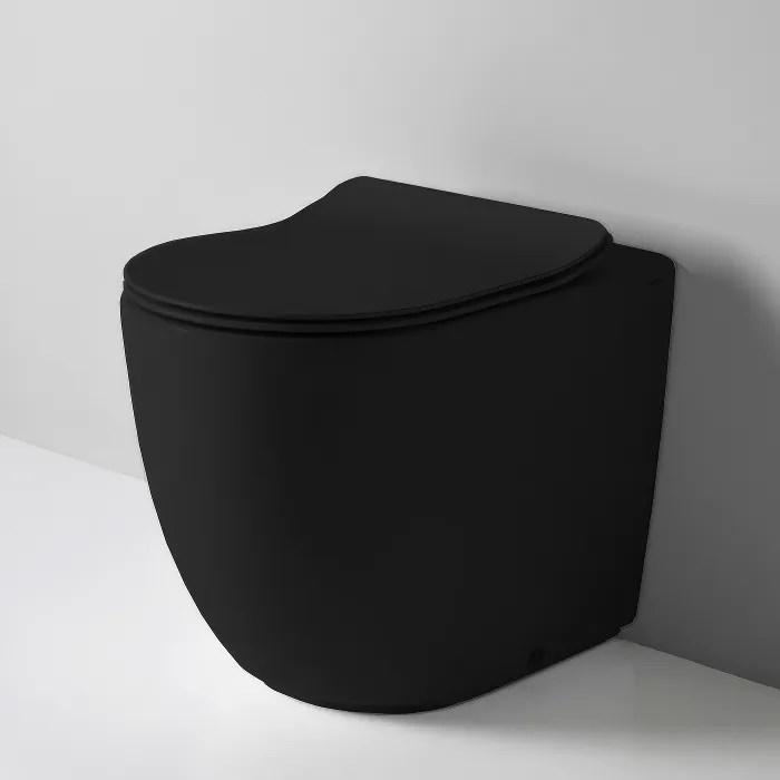 Унитаз приставной напольный ArtCeram File 2.0 Reel FLA014 17 с микролифтом, безободковый, матовый че Sancos — официальный сайт