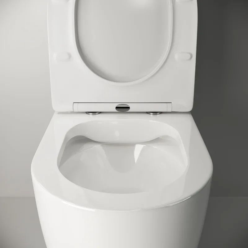 Чаша для унитаза-компакта Ceramicanova Mia Rimless Mia CN1801-B Sancos — официальный сайт