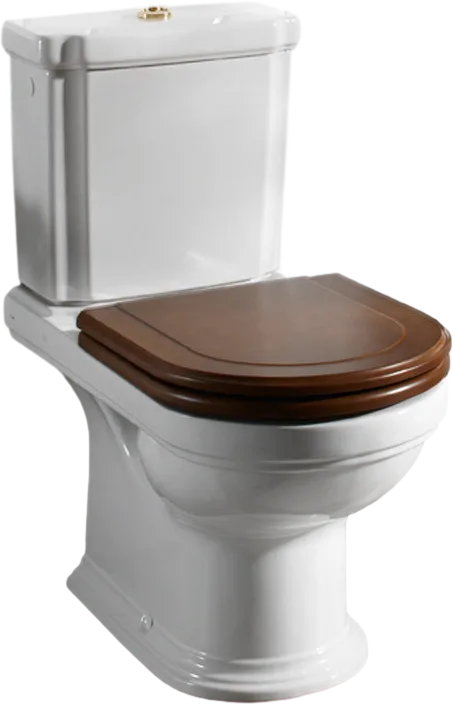 Унитаз-компакт напольный Villeroy & Boch Hommage 666210R1 772116R1 альпийский белый, орех Sancos — официальный сайт