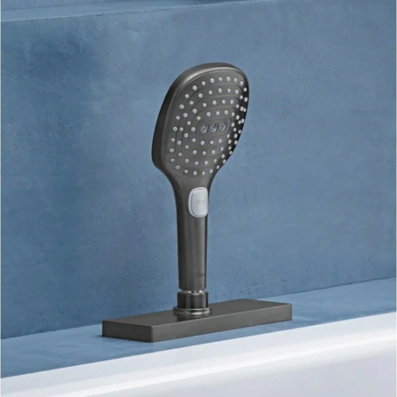 Душевая лейка Hansgrohe Raindance Select E 26520340 шлифованный черный хром Sancos — официальный сайт