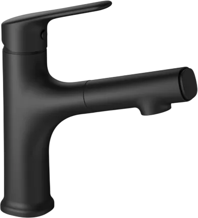 Смеситель для раковины Wonzon & Woghand WW-AE4151-MB с выдвижным изливом, черный матовый Sancos — официальный сайт