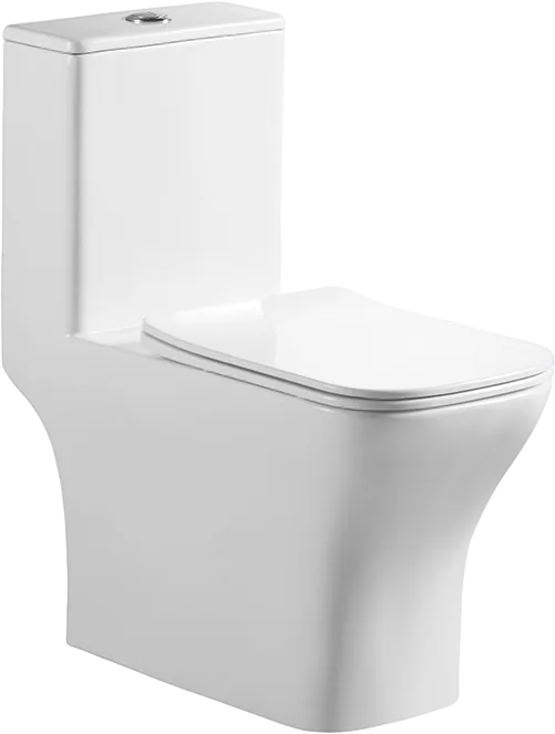 Унитаз-моноблок напольный BelBagno Neon BB8617CPR-MN/SC Sancos — официальный сайт