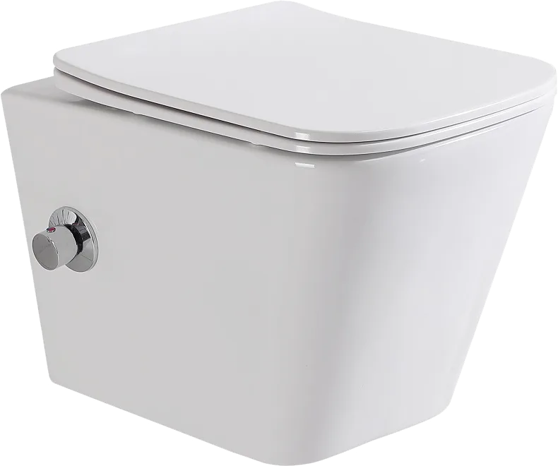 Унитаз подвесной BelBagno Due BB3103CHR-BS/SC Sancos — официальный сайт