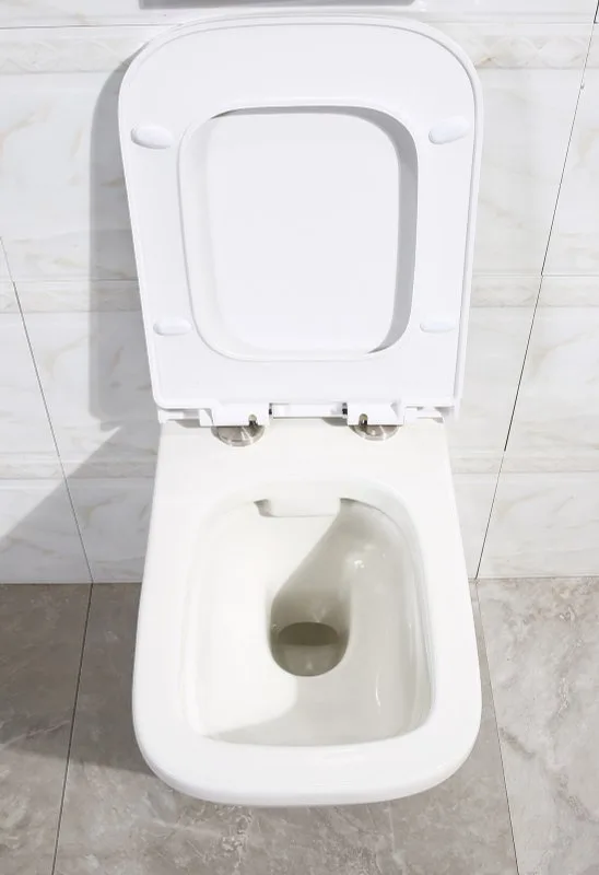 Крышка-сиденье BelBagno Dory BB2138SC с микролифтом Sancos — официальный сайт