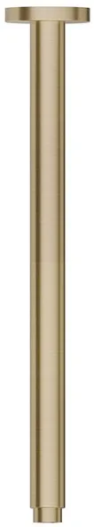 Кронштейн для верхнего душа Newform X-Steel 316 29391X.59.098, брашированное светлое золото Sancos — официальный сайт