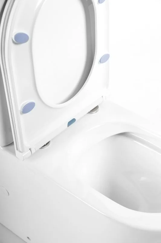 Унитаз-компакт напольный BelBagno Flay-r BB2149CPR BB870SC с микролифтом, безободковый, глянцевый бе Sancos — официальный сайт