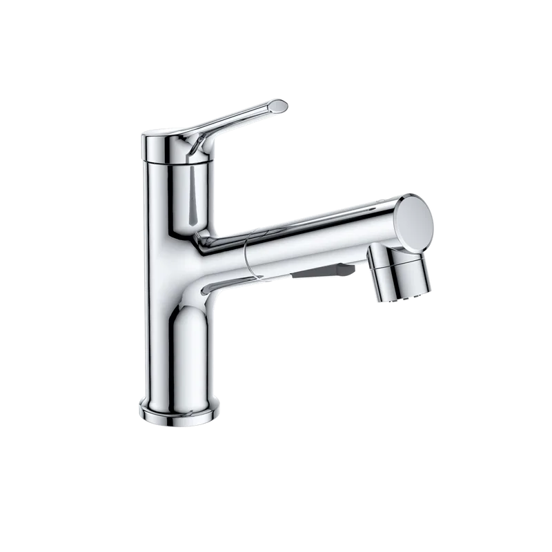 Смеситель для раковины Wonzon & Woghand WW-A40862-CR с выдвижным изливом, хром Sancos — официальный сайт