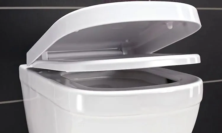 Крышка-сиденье Grohe Euro Ceramic 39330002 с микролифтом Sancos — официальный сайт