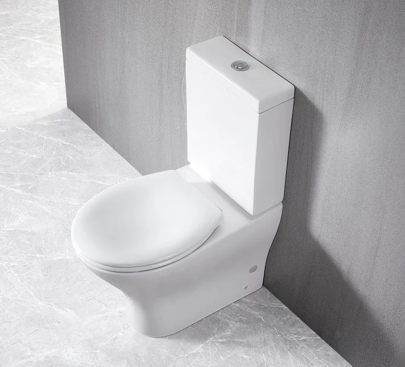 Унитаз-компакт напольный BelBagno Acqua BB340CPR Sancos — официальный сайт