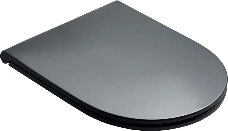 Унитаз подвесной Simas Trevi TR 18 black matt Sancos — официальный сайт