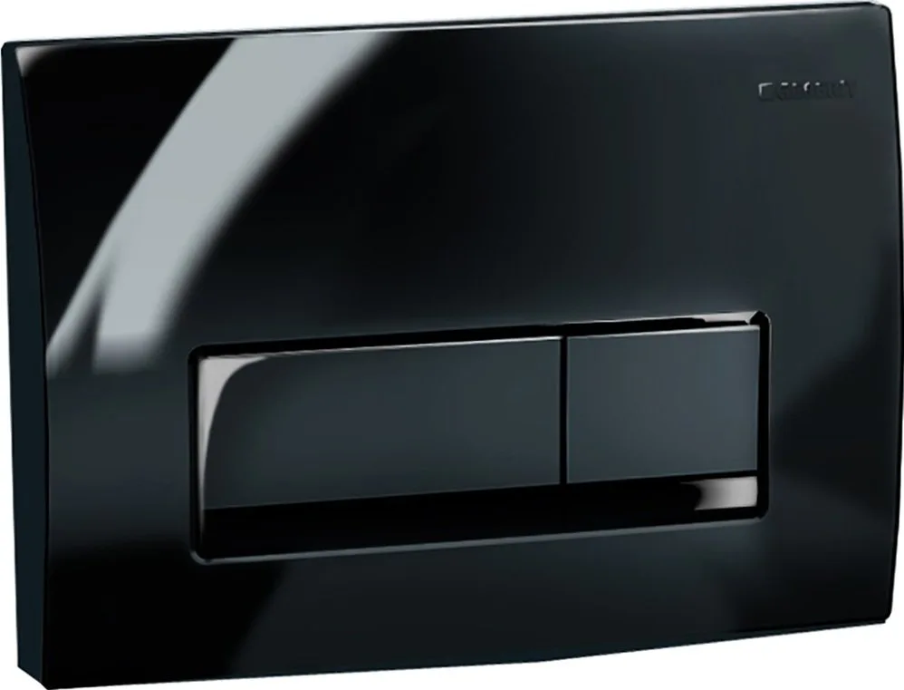Кнопка смыва Geberit Delta 51 115.105.DW.1 черная Sancos — официальный сайт