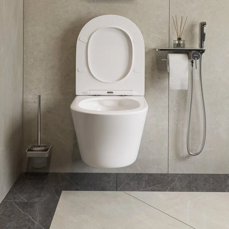 Унитаз подвесной Damixa Skyline DX35C1700SC Sancos — официальный сайт