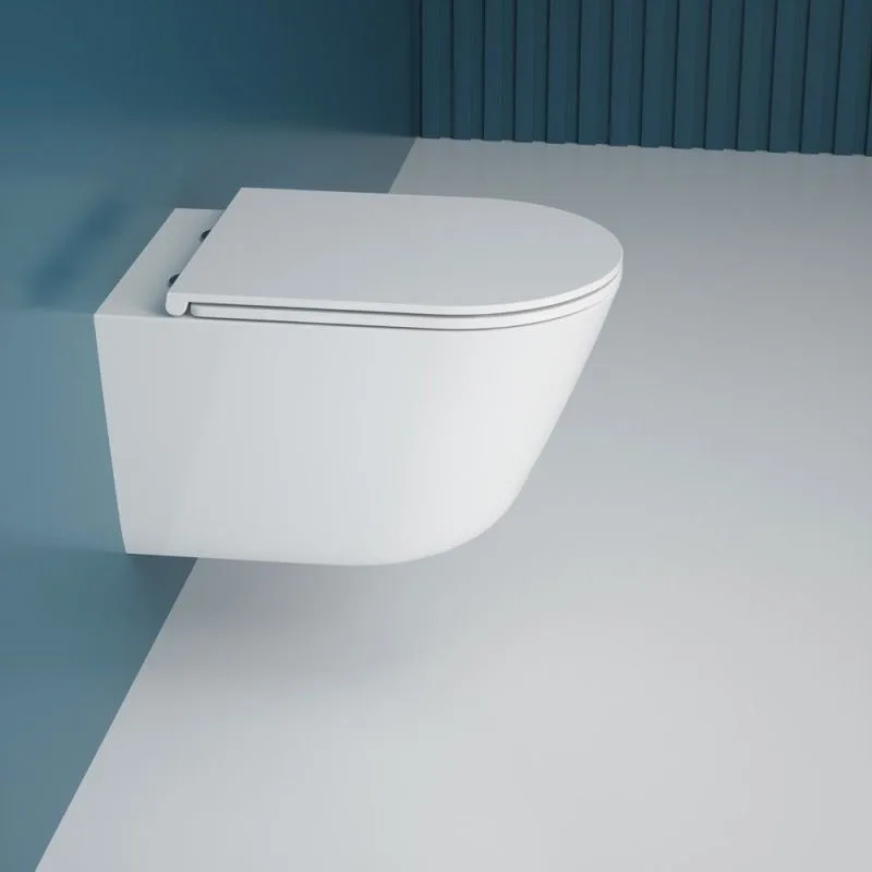 Подвесной унитаз Esbano Clavel-53T ESUPCLAV53TW белый глянец безободковый, смыв Торнадо, с сиденьем  Sancos — официальный сайт