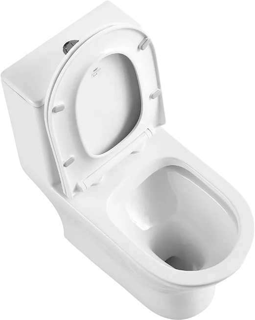 Унитаз-моноблок напольный BelBagno Lounge BB8618CPR-MN/SC Sancos — официальный сайт