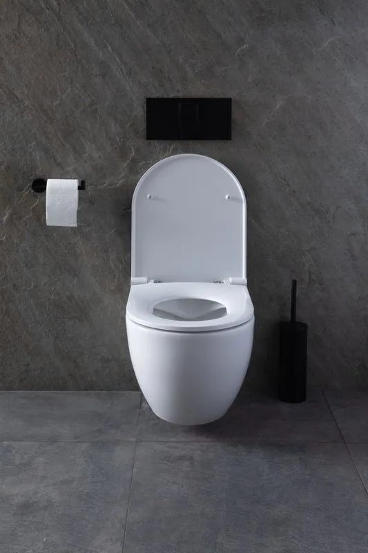 Унитаз подвесной Allen Brau Reality 4.32006.20 Sancos — официальный сайт