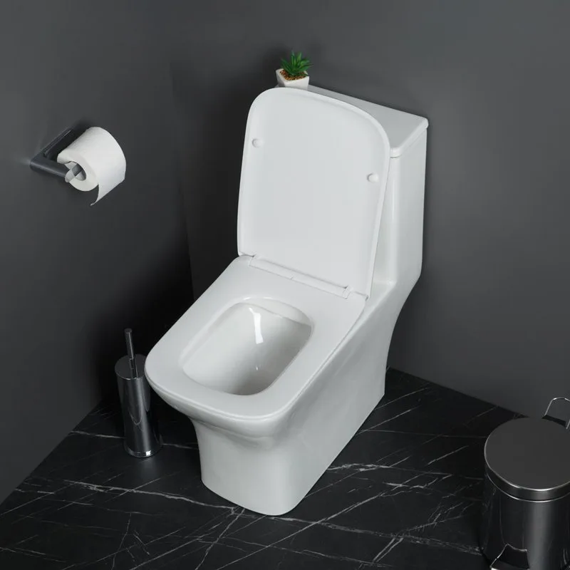 Унитаз-моноблок напольный BelBagno Neon BB8617CPR-MN/SC Sancos — официальный сайт