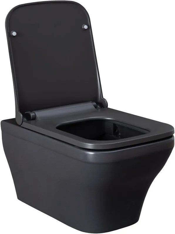 Унитаз подвесной Allen Brau Infinity 4.21011.AN Sancos — официальный сайт