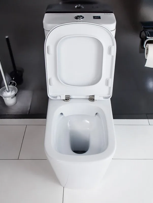 Унитаз-компакт напольный BelBagno Albano BB120CPR безободковый, сиденье BB120SC с микролифтом Sancos — официальный сайт