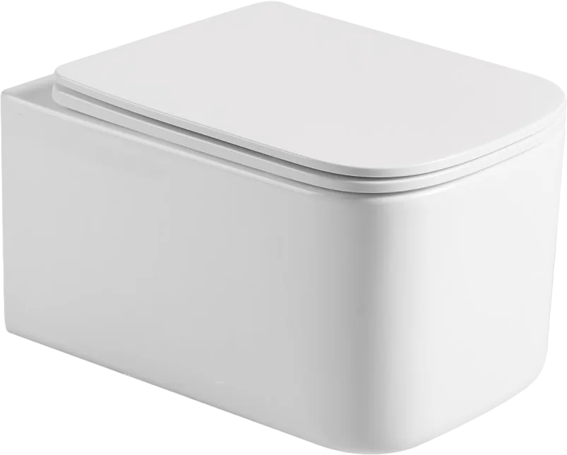 Унитаз подвесной Boheme Mane 970-SET-MW безободковый, с микролифтом, белый матовый Sancos — официальный сайт