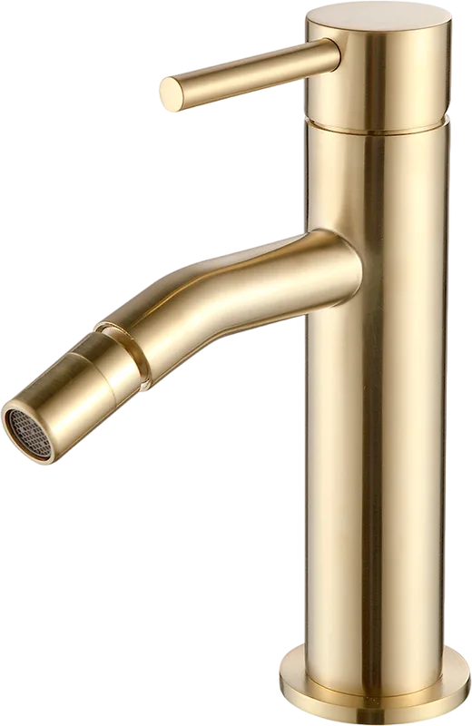 Смеситель для биде AQUAme Siena AQM6216BG, шлифованное золото Sancos — официальный сайт