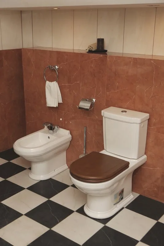 Унитаз-компакт напольный Villeroy & Boch Hommage 666210R1 772111R1 альпийский белый, орех Sancos — официальный сайт