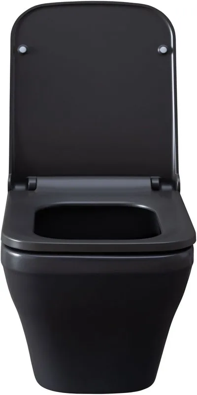 Унитаз подвесной Allen Brau Infinity 4.21011.AN Sancos — официальный сайт