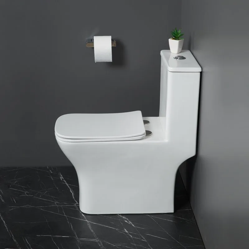 Унитаз-моноблок напольный BelBagno Neon BB8617CPR-MN/SC Sancos — официальный сайт