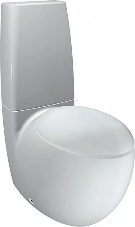 Крышка-сиденье Laufen Alessi One 8.9297.1.000.000.1 с микролифтом, петли хром Sancos — официальный сайт