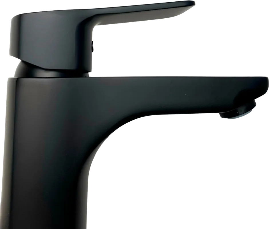 Смеситель для раковины Paini Viva Style P4YO205/574 с гигиеническим душем, черный Sancos — официальный сайт