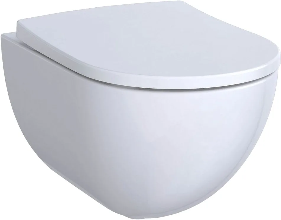 Крышка-сиденье Geberit Acanto 500.605.01.2 Sancos — официальный сайт
