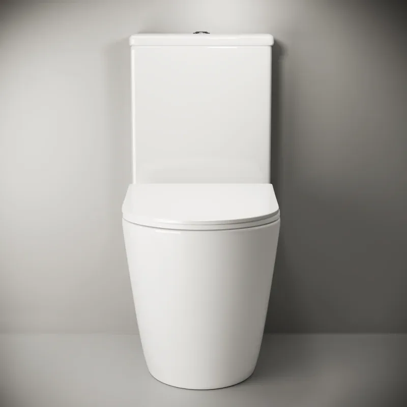 Бачок для унитаза Ceramicanova Highlight Rimless CN1802-T Sancos — официальный сайт