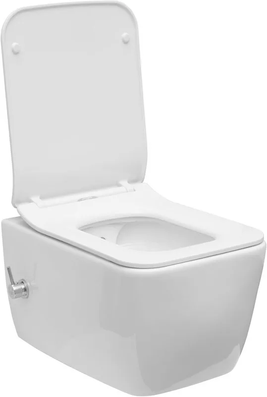 Унитаз подвесной Allen Brau Liberty 4.33009.20 Sancos — официальный сайт