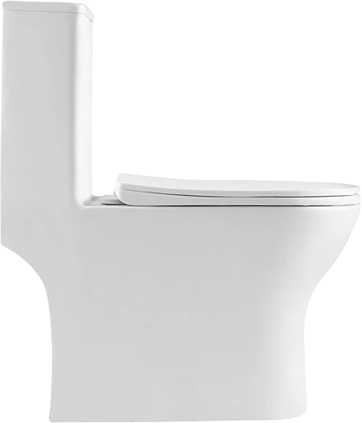 Унитаз-моноблок напольный BelBagno Lounge BB8618CPR-MN/SC Sancos — официальный сайт