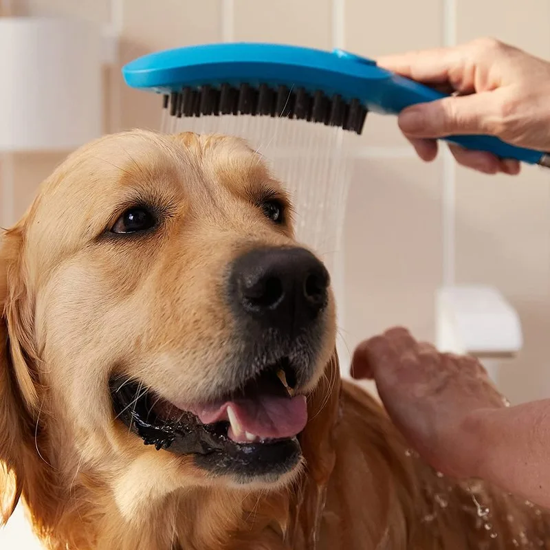 Душевая лейка Hansgrohe DogShower 26640540 для собак, бирюзовая Sancos — официальный сайт