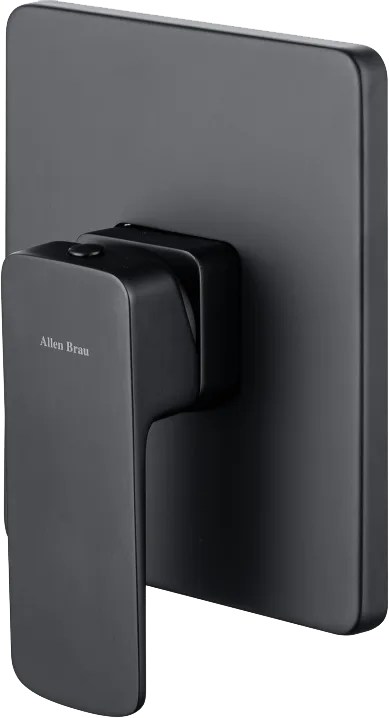 Встраиваемый смеситель для душа Allen Brau Infinity 5.21015-31 С ВНУТРЕННЕЙ ЧАСТЬЮ, чёрный матовый Sancos — официальный сайт